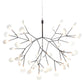 Heracleum III Suspended Moooi
