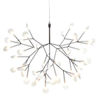 Heracleum III Suspended Moooi